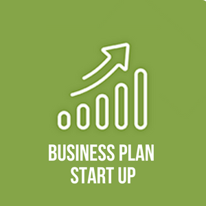 Software Business plan start up